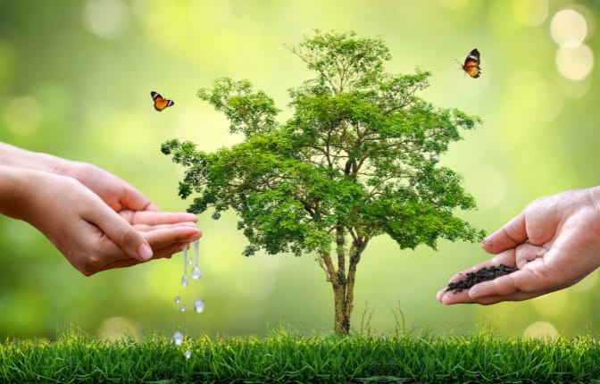 स्ट्रॅटेजिक पार्टनरशिप